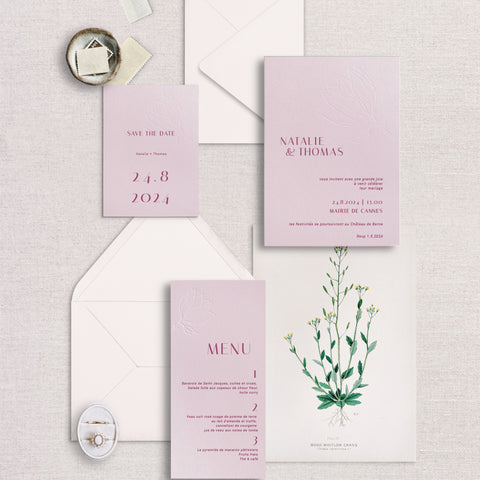 Collection Magnolia