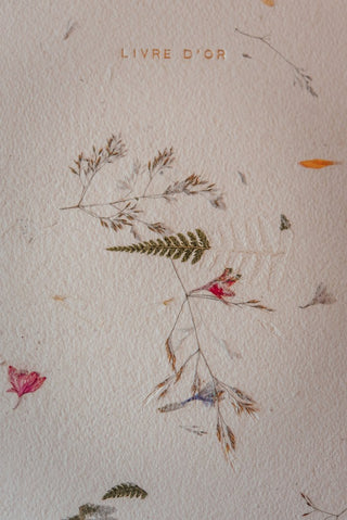 Livre d'or fleurs séchées
